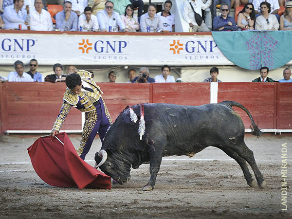 Voluntad de triunfar