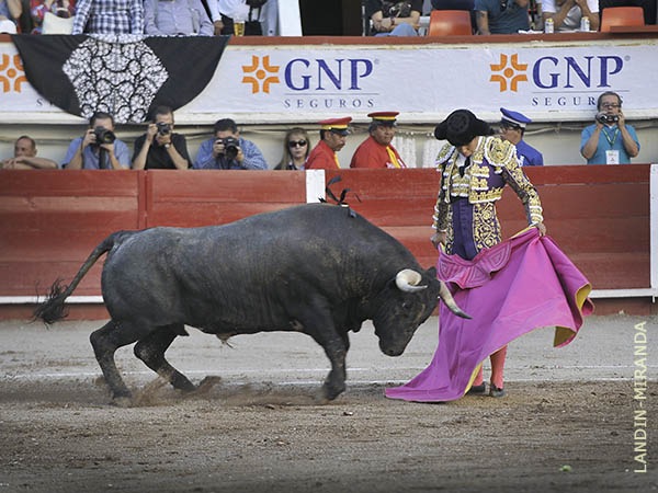 La cara a media altura