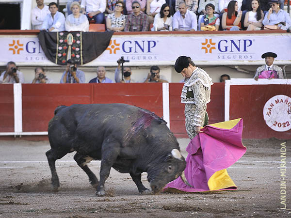 Chicuelinas en el quite