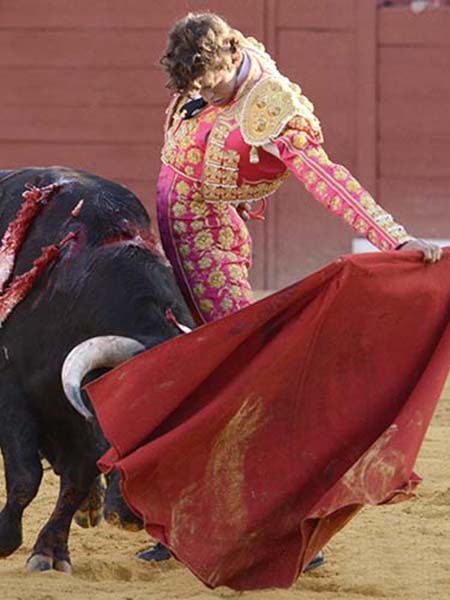 Ilusi�n por estar en La M�xico