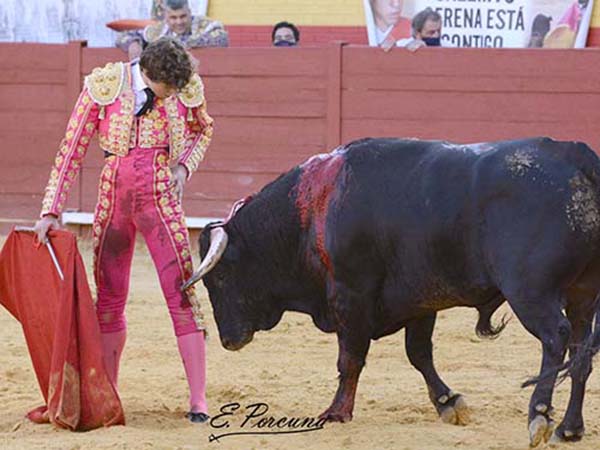 Antecedentes familiares en el toro