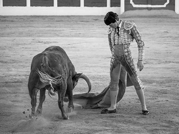 Lleva ya varios festejos en Espa�a