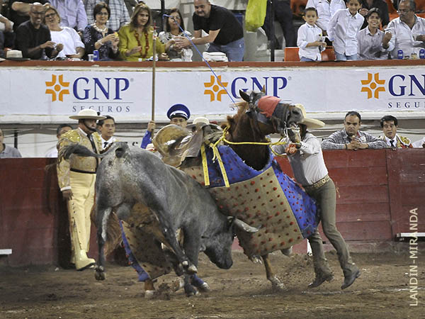 Con furia sobre la jaca