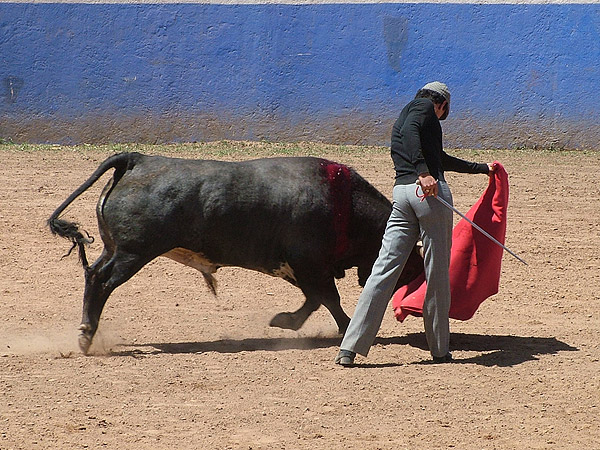 Forzado de Sp�nola
