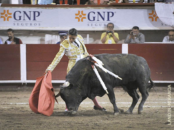 En el gusto de la aficin