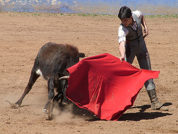 Mostrando sus credenciales