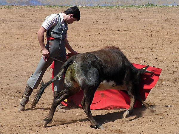 Aqu� est� El Dani