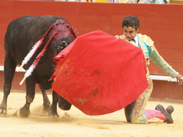 Valiente inicio de faena
