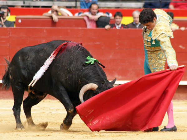 Meti�ndolo en vereda