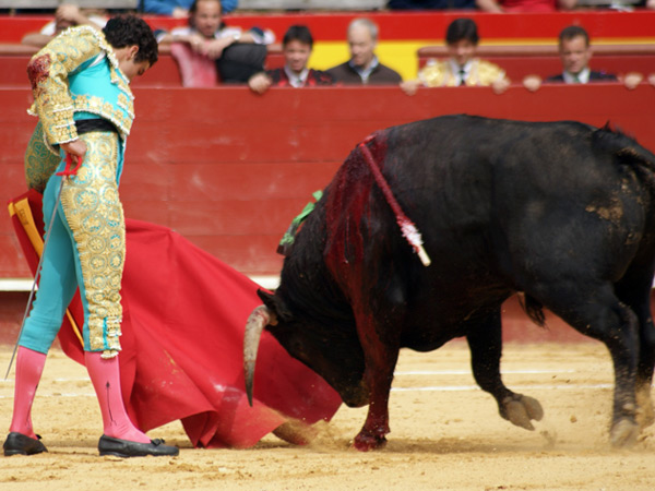 Por el lado izquierdo