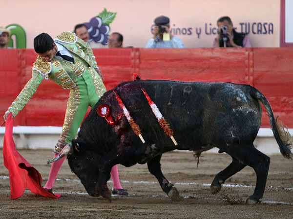 Concepto puro del toreo