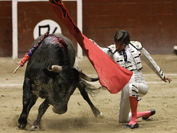 El de pecho, rodilla en tierra