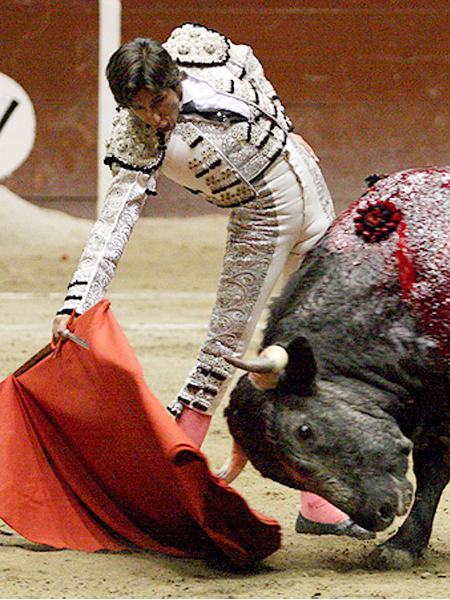 Toro y torero, fundidos
