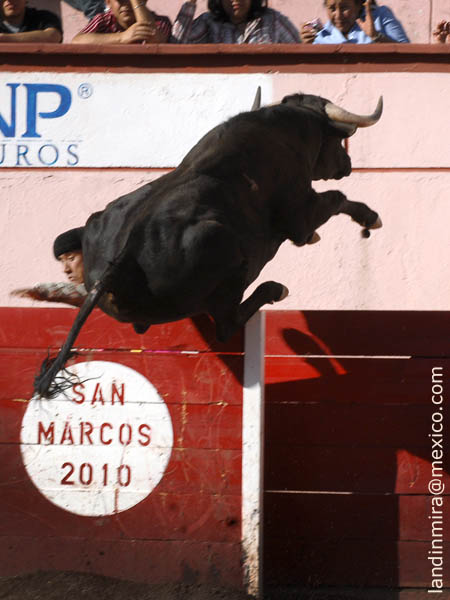 Se le hizo chica la plaza