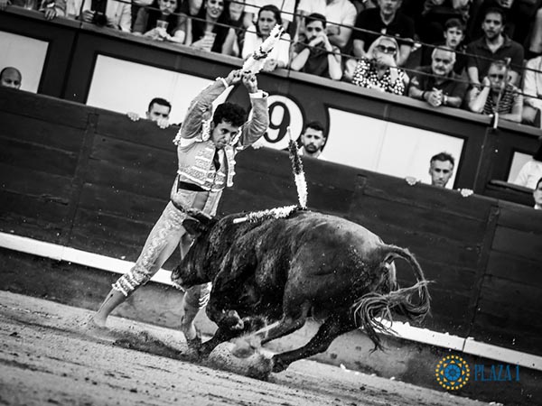 Cuadrando en la  cara