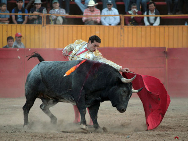 Estir�ndose en un natural