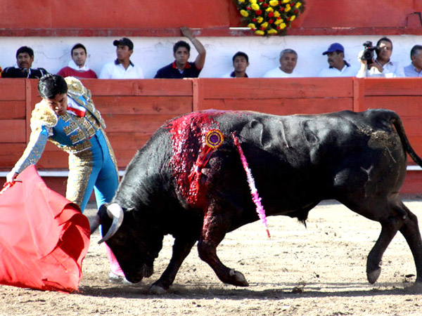 Acompa�ando la embestida