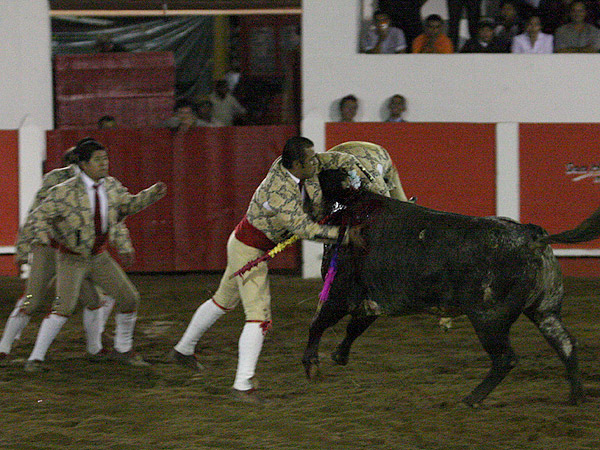 Los Forcados Teziutecos