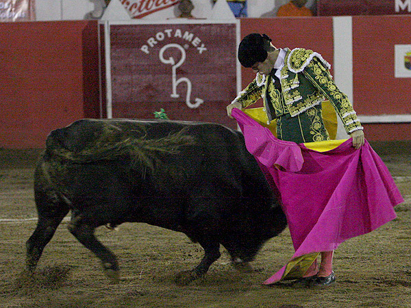 Cadenciosa chicuelina