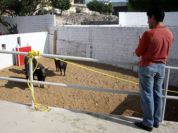 Apuntando los n�meros