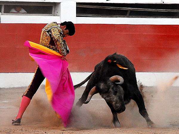 Media con sello propio