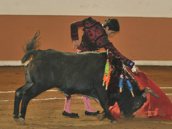 La dosantina de Oliver