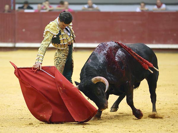 Madurando la carrera profesional