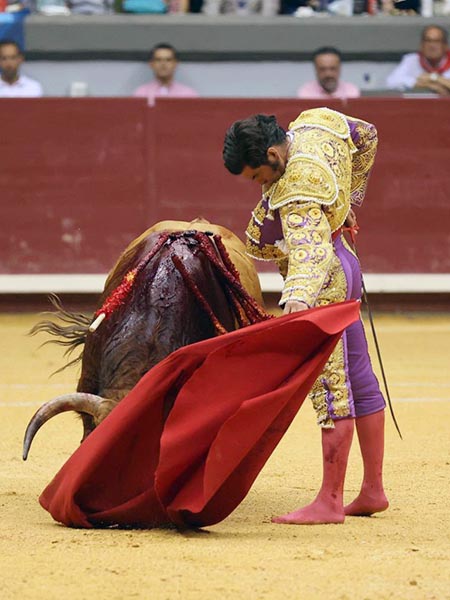 Un casta�o de buenas prestaciones