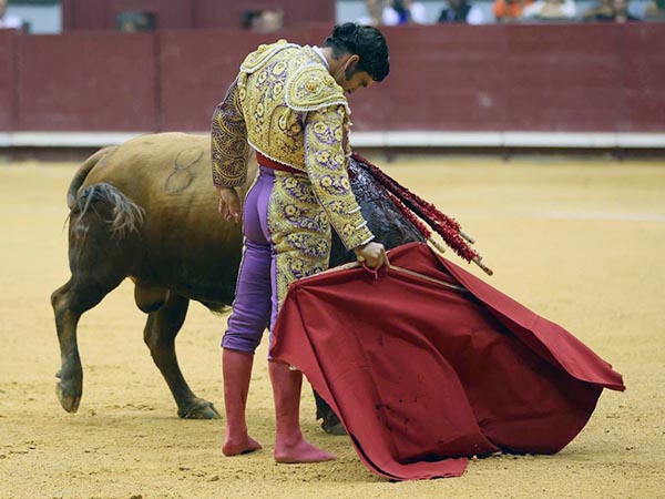 Cobijado por el cari�o