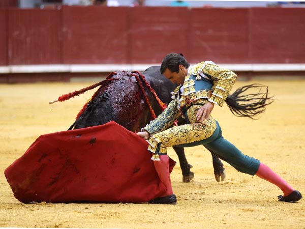 Camino a consolidarse