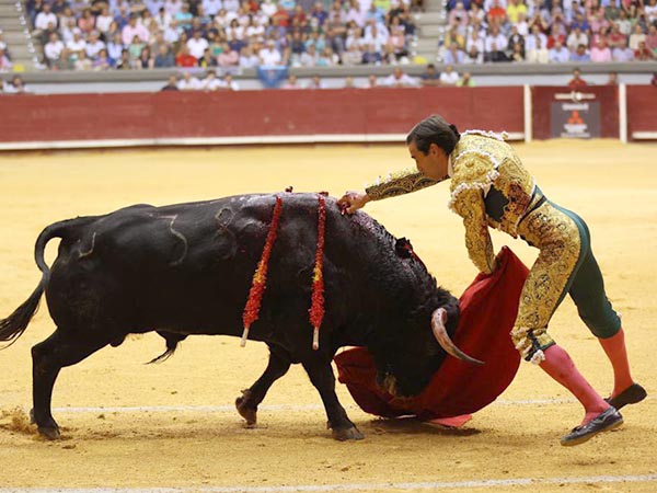 Domnio de la suerte suprema