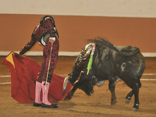Un concierto al natural
