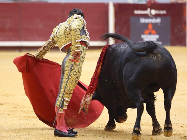 Por el pit�n m�s prolijo