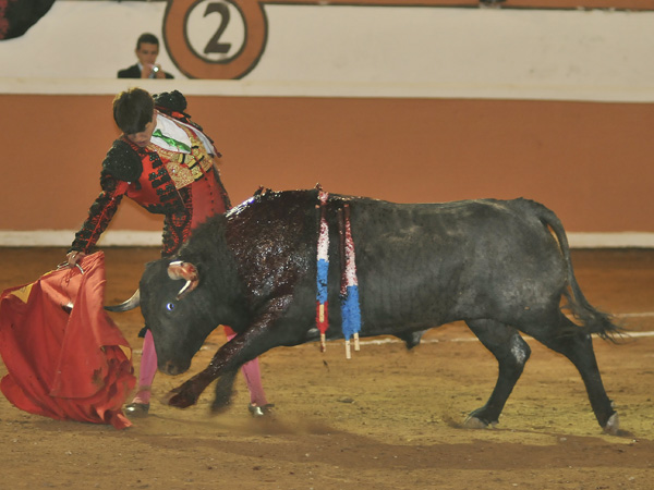 Plantando cara Gerardo Adame