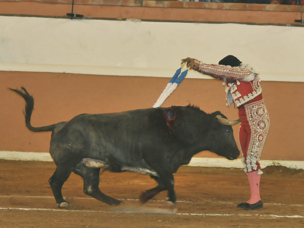 Excelso par de aretes