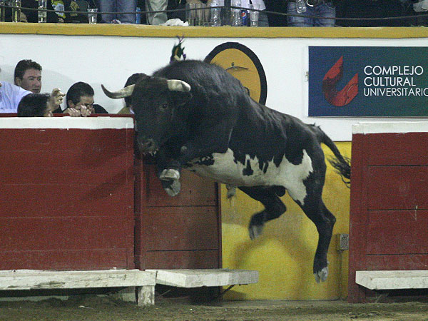 Visitando el callej�n