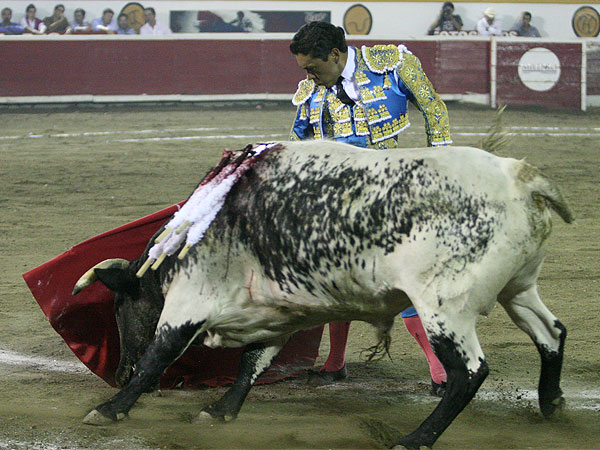 Lo meti� a la muleta