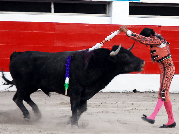 Cuadrando en la cara