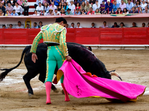 Soltando la punta del capote