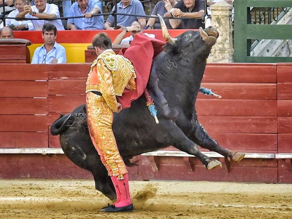 Espectaculares manoletinas