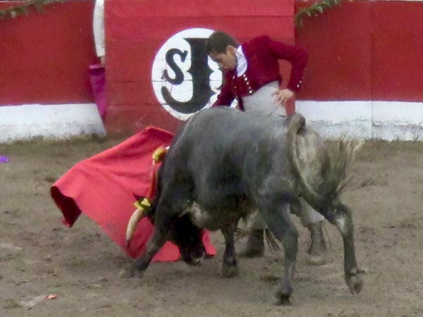 Franco en la embestida