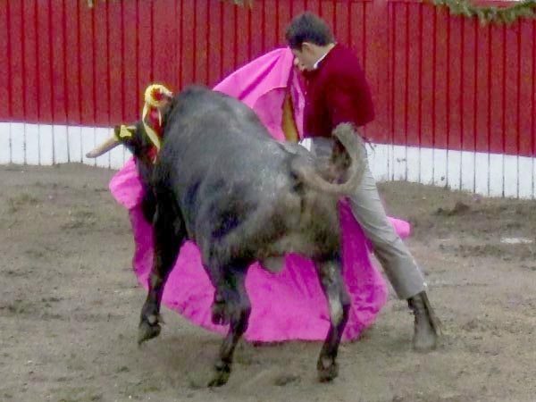 Parando al c�rdeno