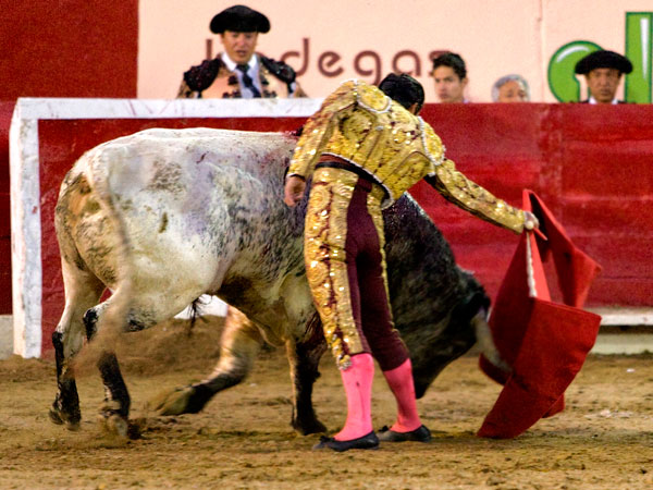 Extendiendo el muletazo