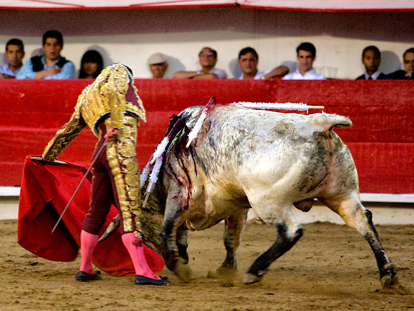 Espectacular embestida