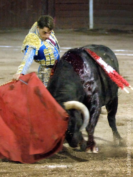 Imposible m�s ce�ido