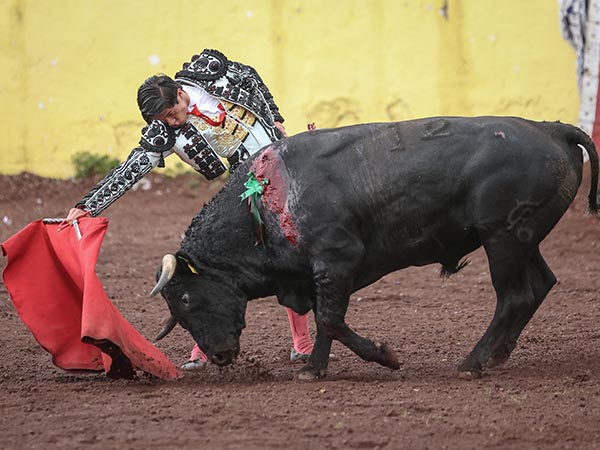 Sentimiento torero