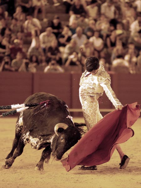 Sentimiento al natural