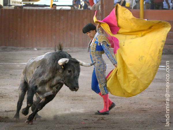 Variedad en los quites