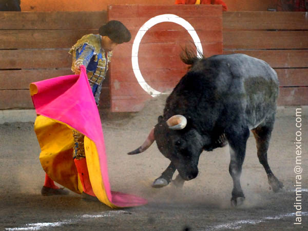 El saludo de Fabi�n