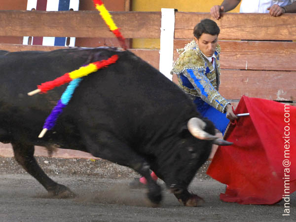 Sometirndo la embestida